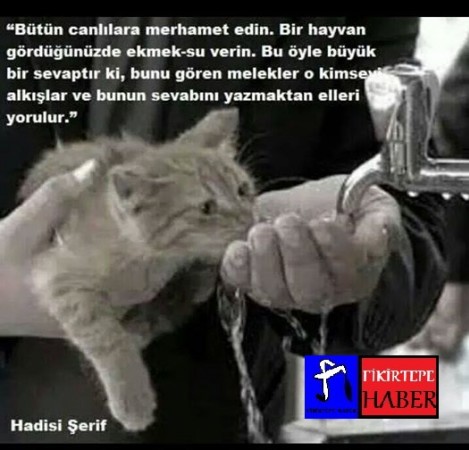 Özlü Sözler