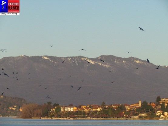 MİLANO - İTALYA