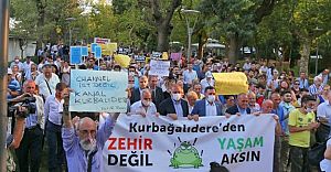 Kadıköylüler Kurbağalı Dere için eylem yaptılar