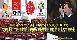 1 Kasım 2015 GENEL SEÇİM SONUÇLARI ''AK PARTİ TEK BAŞINA İKTİDAR''